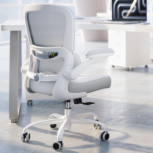 TRALT Ergonomic Office Chair Desk Chair with Adjustable Lumbar Support