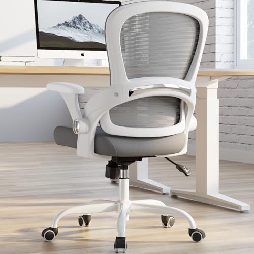 TRALT Office Chair - Ergonomic Office Chair with Back Support for Adults